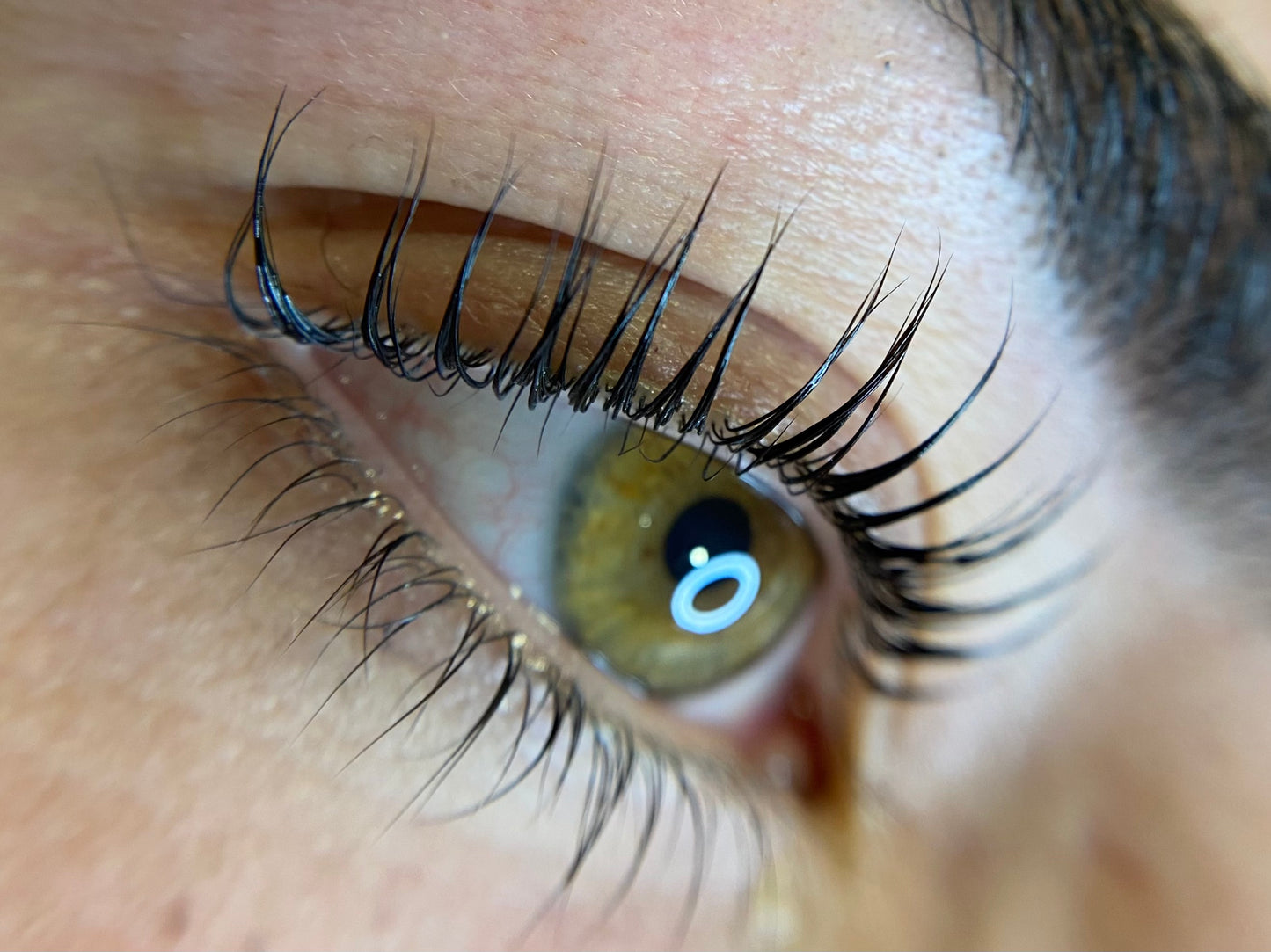 ONLINE CURSUS WIMPERLIFT