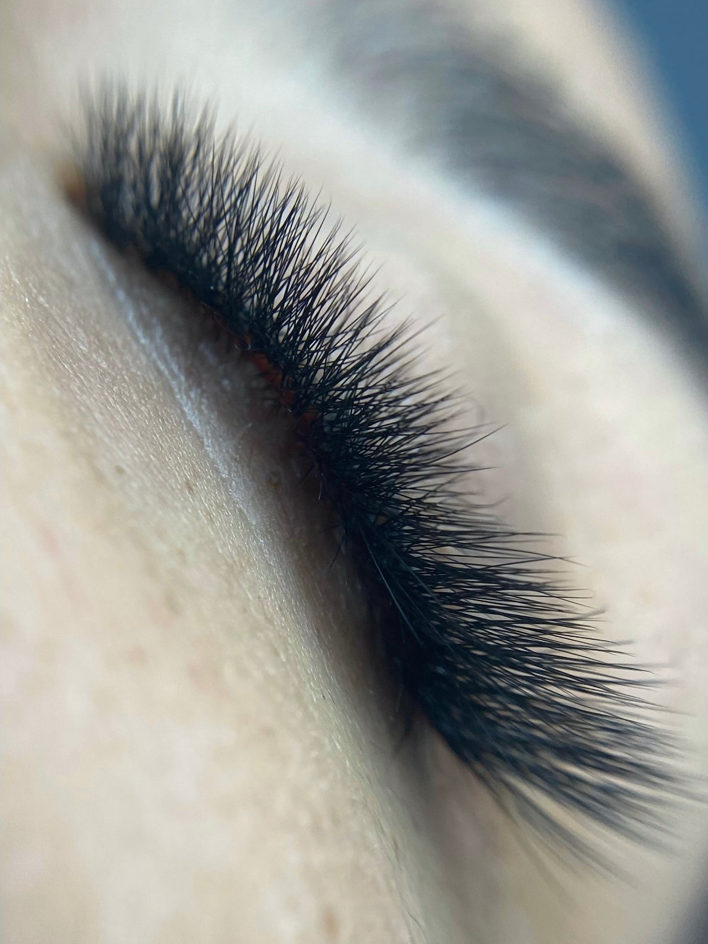 DOSSIER ESPECIALIZACIÓN Y EFECTOS