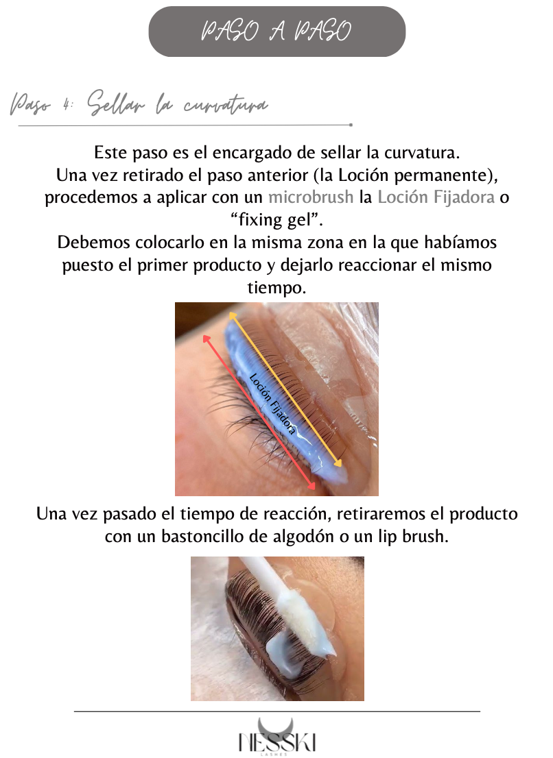 ONLINE CURSUS WIMPERLIFT